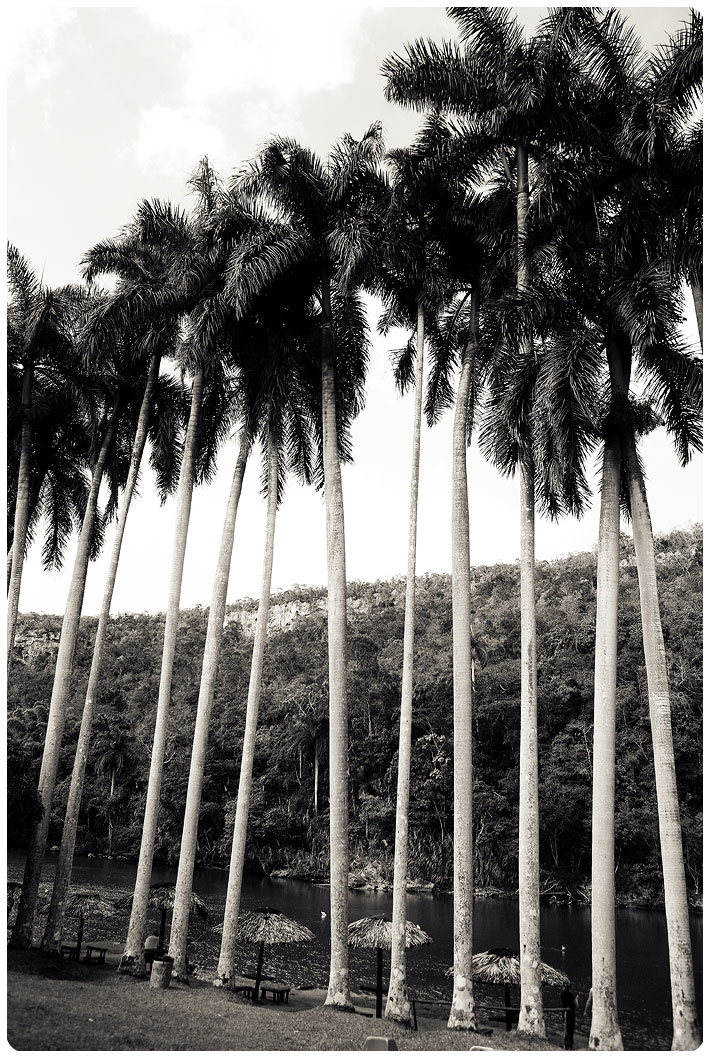 Winnipeg, Wedding, Kamp, Weddings, Engagement, Kampphotograpghy, Melia, Varadero, Cuba